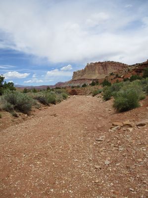 IMG_0247.jpg