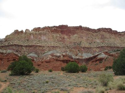IMG_0252.jpg