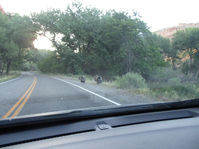 IMG_0315.jpg