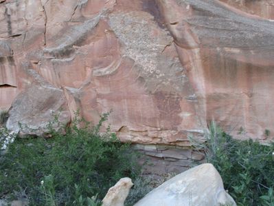 IMG_0555.jpg