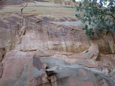 IMG_0556.jpg