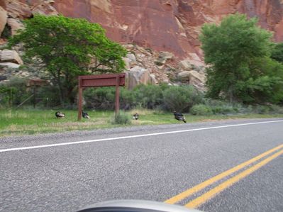 IMG_0570.jpg