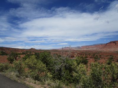 IMG_1213.jpg