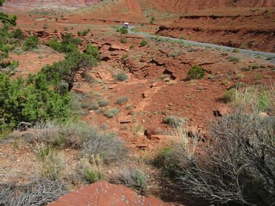IMG_1218.jpg