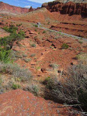 IMG_1219.jpg