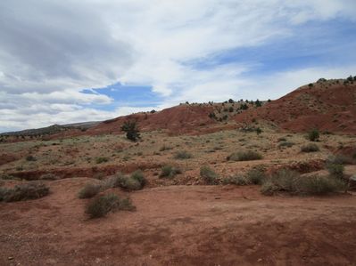 IMG_1225.jpg