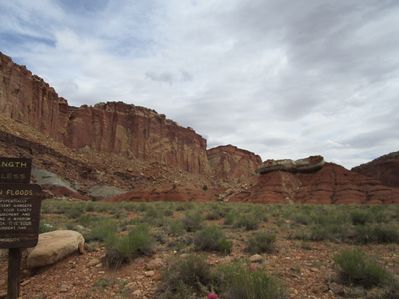 IMG_1231.jpg