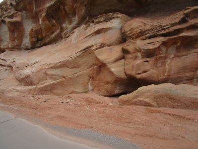 IMG_1262.jpg