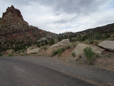 IMG_1266.jpg