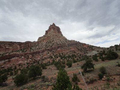 IMG_1268.jpg