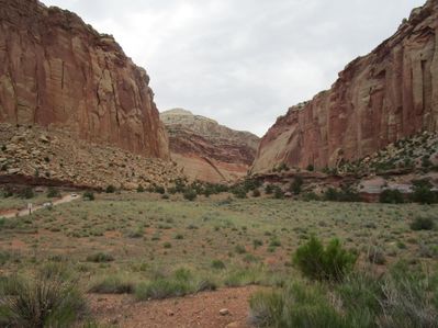 IMG_1269.jpg