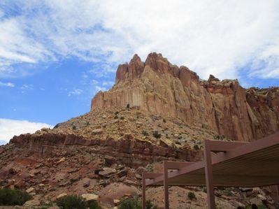 IMG_1271.jpg