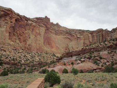 IMG_1272.jpg