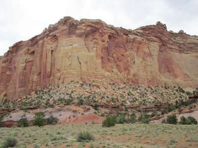 IMG_1273.jpg