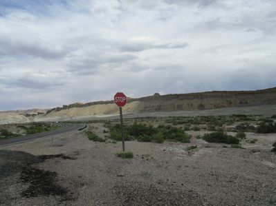 IMG_1292.jpg