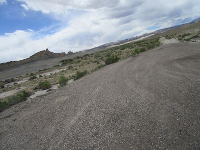 IMG_1295.jpg