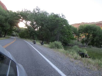 IMG_1299.jpg