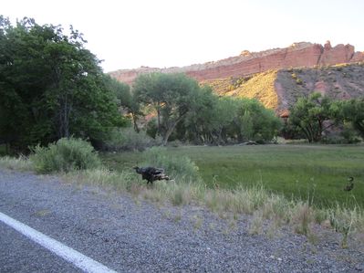 IMG_1300.jpg