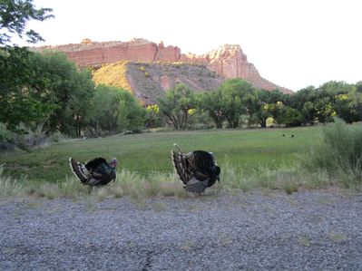 IMG_1302.jpg