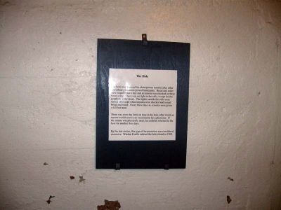 IMG_0907.jpg