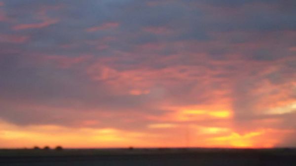 DSC00320.jpg