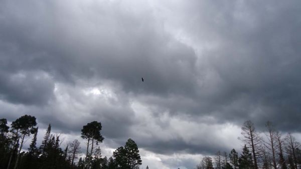DSC00337.jpg