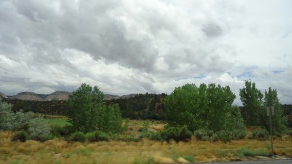 DSC00342.jpg
