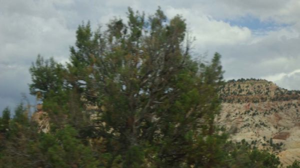 DSC00350.jpg