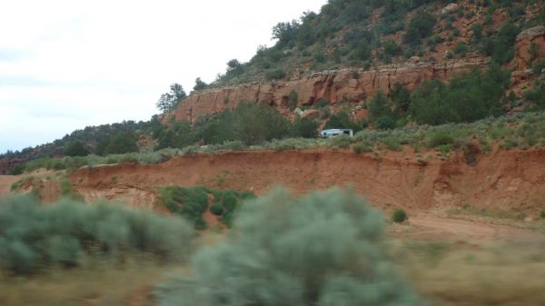 DSC00363.jpg