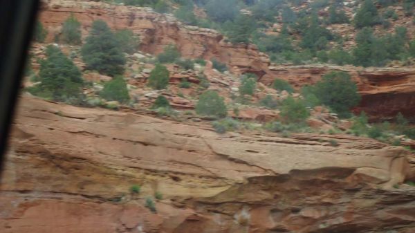 DSC00364.jpg