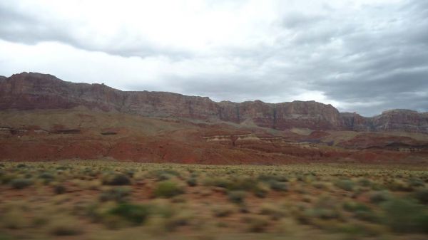 DSC00382.jpg