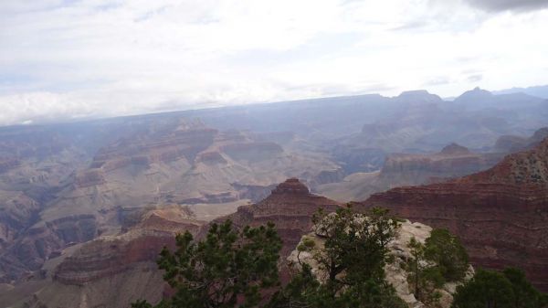 DSC00440.jpg