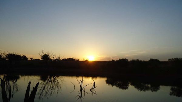 DSC00602.jpg