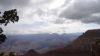 Filename=DSC00435.jpg
Filesize=71KiB
Dimensions=1024x576
Date added=Mar 26, 2024 DSC00435.jpg