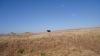 DSC00621.jpg