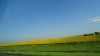 Filename=DSC00767.jpg
Filesize=62KiB
Dimensions=1024x576
Date added=Mar 26, 2024 DSC00767.jpg