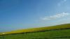 Filename=DSC00768.jpg
Filesize=61KiB
Dimensions=1024x576
Date added=Mar 26, 2024 DSC00768.jpg