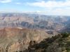 IMG_2916.jpg