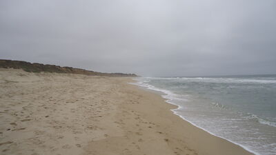DSC03519.JPG