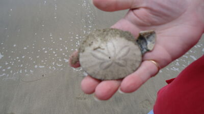 DSC03547.JPG