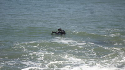 DSC03650.JPG