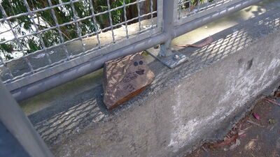 DSC03818.JPG