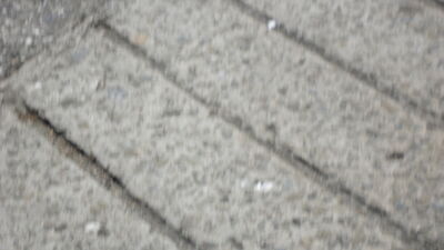 DSC03829.JPG