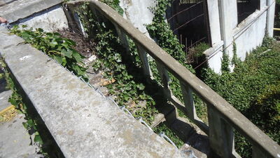 DSC03838.JPG