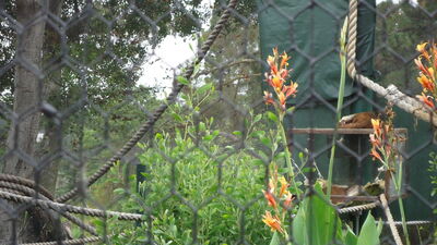 DSC03948.JPG