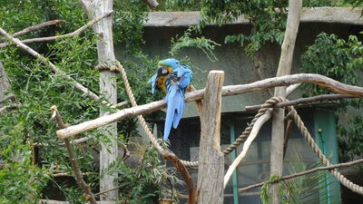 DSC03962.JPG