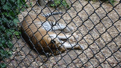 DSC03966.JPG