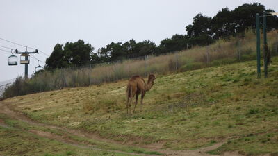 DSC03978.JPG