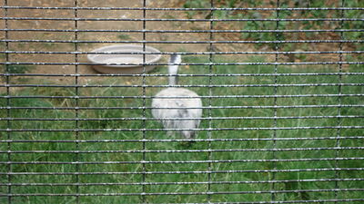 DSC03988.JPG