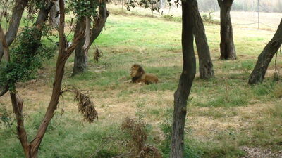 DSC03990.JPG